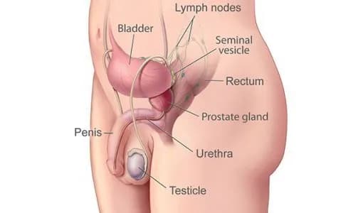 Masaż prostaty jak wykonać: bezpieczne techniki i korzyści zdrowotne